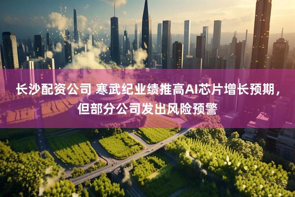 长沙配资公司 寒武纪业绩推高AI芯片增长预期，但部分公司发出风险预警